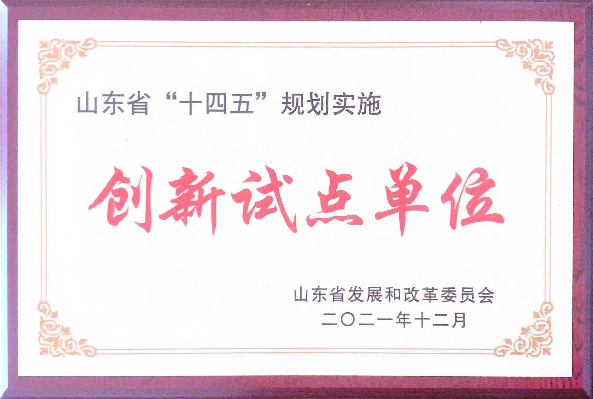 “十四五”规划创新试点单位